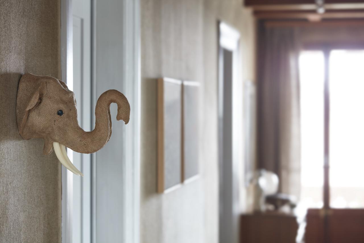 Boutique B&B Maison Bergdorf Interlaken Eksteriør bilde