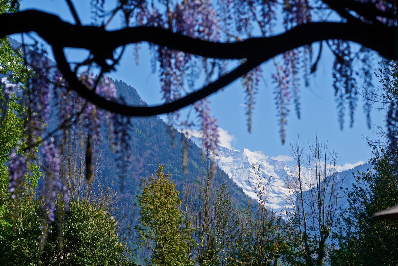 Boutique B&B Maison Bergdorf Interlaken Eksteriør bilde